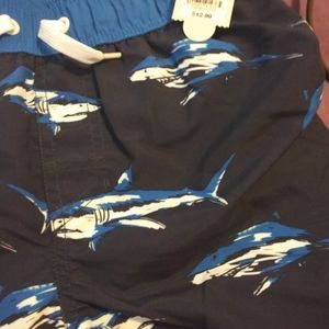 Boys swimming trunks
